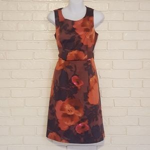 The Limited Dress size 6